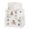 Baxton Studio Sagen ModernWhite Finished Wood 3-Piece Storage Crate Set 200-12271-ZORO - alternate 3